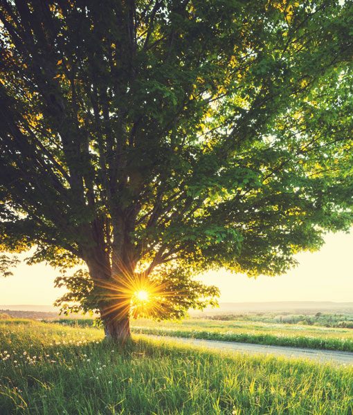 Imperial Series door glass performance